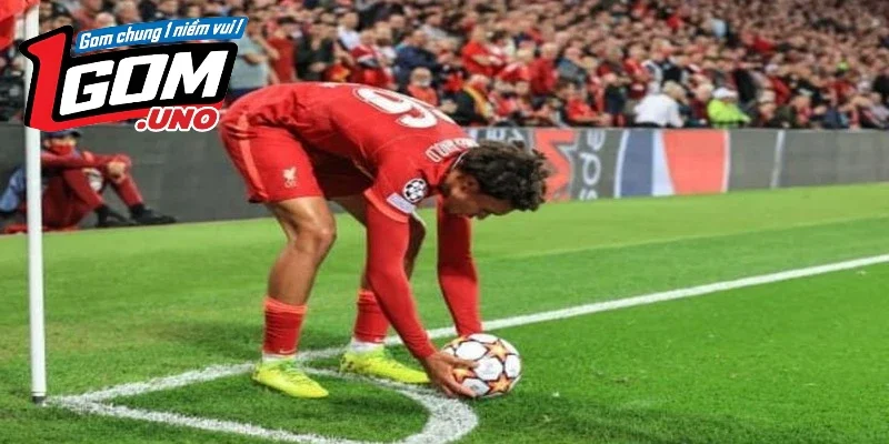 Lý do nên chọn Bóng Đá Wap làm điểm đến cá cược