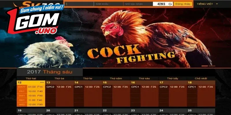 Tổng hợp các sảnh chơi của thương hiệu